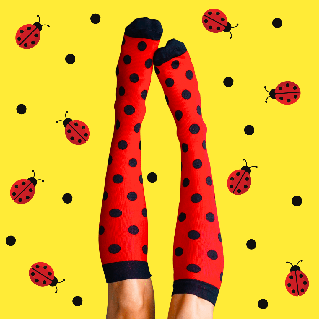 Classic Gift Box 5 Pack Compression Socks